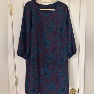 Ann Taylor Long Sleeve Dress in Blue and Red Floral
